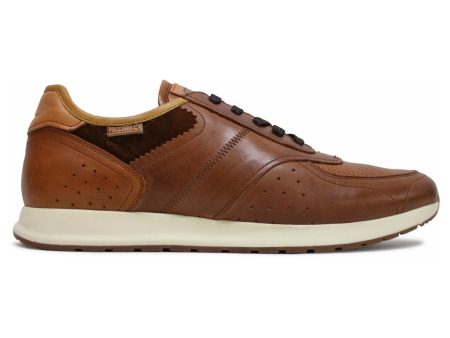 Cambil Leather Men s  Low Top Trainers Sale