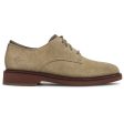 American Classics Montrose Plain Toe Suede Men s Oxfords Shoes For Cheap